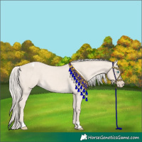 Horse Color:Cremello Dun Varnish