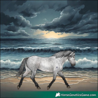 Horse Color:Gray Brown Roan Rabicano 