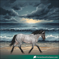 Horse Color:Gray Brown Roan Rabicano 