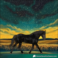 Horse Color:Void Buckskin Roan Tobiano Rabicano 