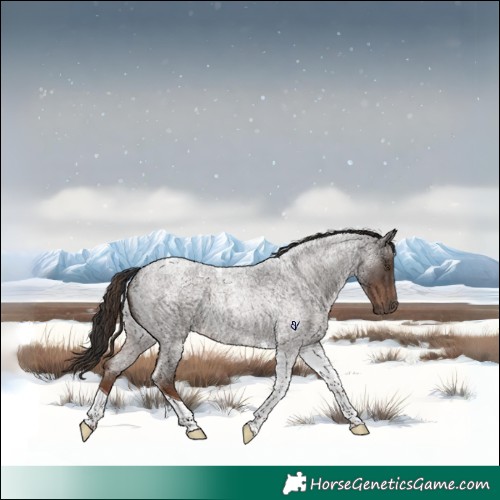 Horse Color:Liver Red Roan Tobiano 