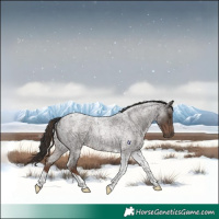 Horse Color:Liver Red Roan Tobiano 
