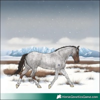 Horse Color:Liver Red Roan Tobiano