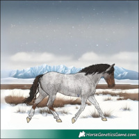 Horse Color:Liver Red Roan Tobiano 