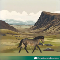 Horse Color:Void Buckskin Rabicano