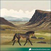 Horse Color:Void Buckskin Rabicano 
