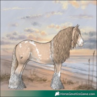 Horse Color:White Spotted Perlino Splash 