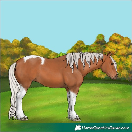 Horse Color:Silver Bay Tobiano 
