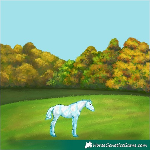 Horse Color:Thunderstruck Palomino Ice Onyx Leopard