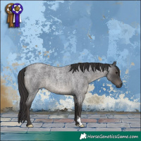 Horse Color:Smoky Blue Roan