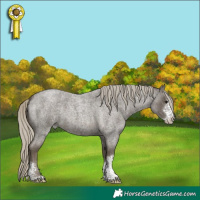 Horse Color:Silver Smoky Blue Roan Sabino 
