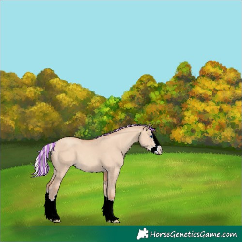 Horse Color:Painted Silver Classic Champagne Dun Splash