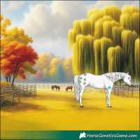 Horse Color:White Spotted Silver Buckskin Dun Splash Appaloosa Rabicano Brindle 