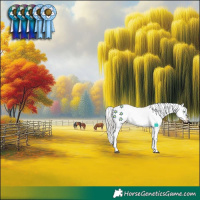 Horse Color:White Spotted Silver Buckskin Dun Splash Appaloosa Rabicano Brindle