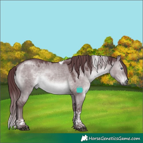 Horse Color:Chocolate Brown Chinchilla Dun Tobiano 