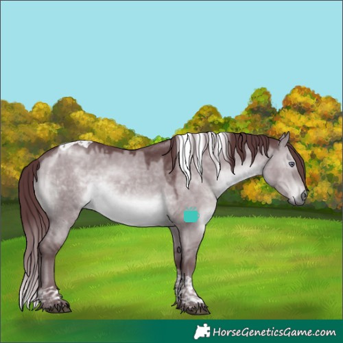 Horse Color:Chocolate Brown Chinchilla Dun Tobiano 