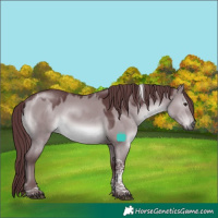 Horse Color:Chocolate Grullo Chinchilla Tobiano