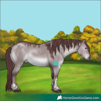 Horse Color:Chocolate Grullo Chinchilla Tobiano