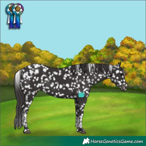 Horse Color:Smoky Black Tobiano Snowcap 