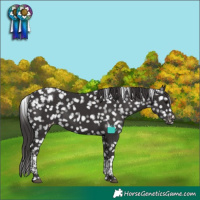 Horse Color:Smoky Black Tobiano Snowcap