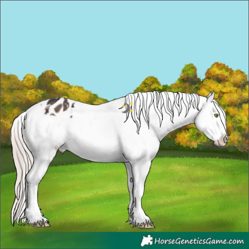 Horse Color:White Spotted Liver Chestnut Mushroom Blanket 