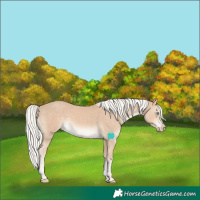 Horse Color:Silver Smoky Creme Tobiano