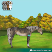 Horse Color:Silver Smoky Black Tobiano
