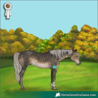 Horse Color:Silver Smoky Black Tobiano 