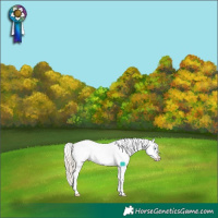 Horse Color:Chocolate Palomino Roan Dun Sabino Splash Frame Appaloosa 