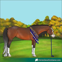 Horse Color:Brown Splash