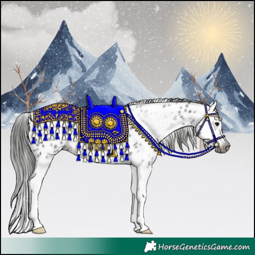 Horse Color:Gray Black Splash Leopard