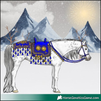 Horse Color:Gray Black Splash Leopard 