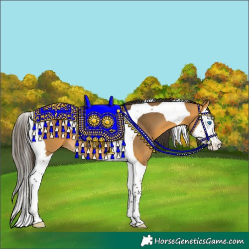 Horse Color:Buckskin Splash Tobiano 