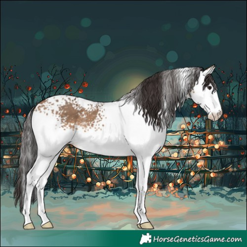 Horse Color:White Spotted Brown Dun Sabino 