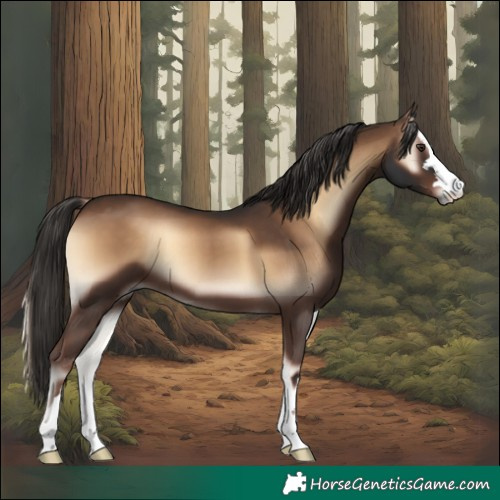 Horse Color:Liver Red Onyx 