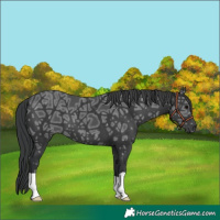 Horse Color:Black Ice 