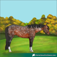Horse Color:Brown Ice