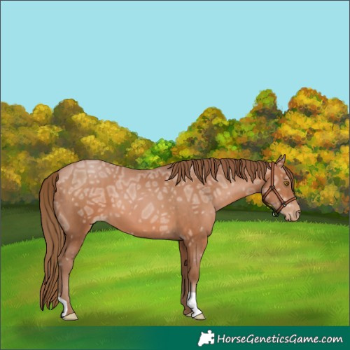 Horse Color:Brown Ice Pearl 