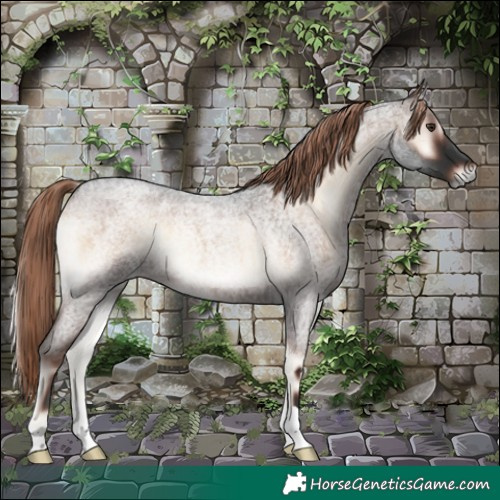 Horse Color:Liver Red Onyx Roan 