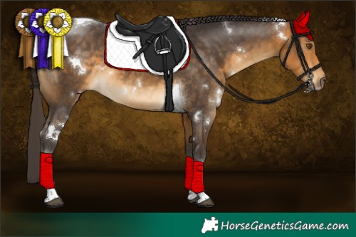 Horse Color:White Spotted Buckskin Tobiano 