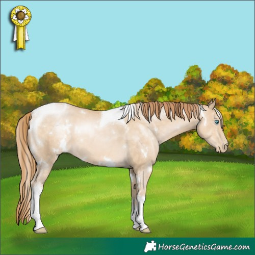 Horse Color:White Spotted Buckskin Pearl Tobiano 