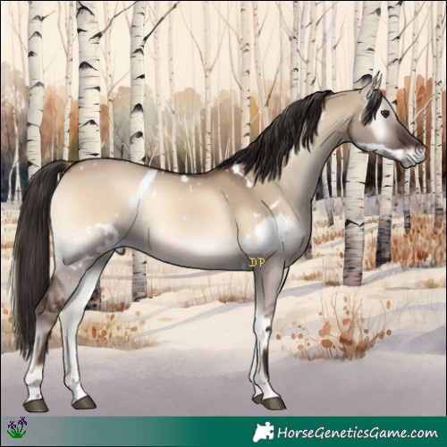 Horse Color:White Spotted Liver Red Dun Onyx 