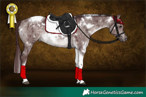Horse Color:Platinum White Spotted Chocolate Brown Dun Tobiano Brindle 