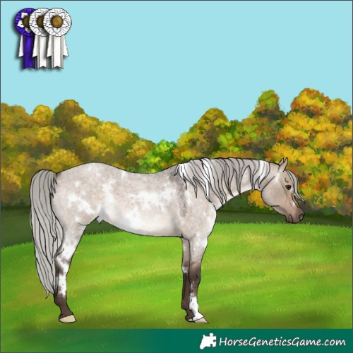 Horse Color:White Spotted Silver Brown Roan Dun 