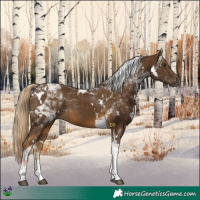 Horse Color:White Spotted Chocolate Palomino Tobiano 