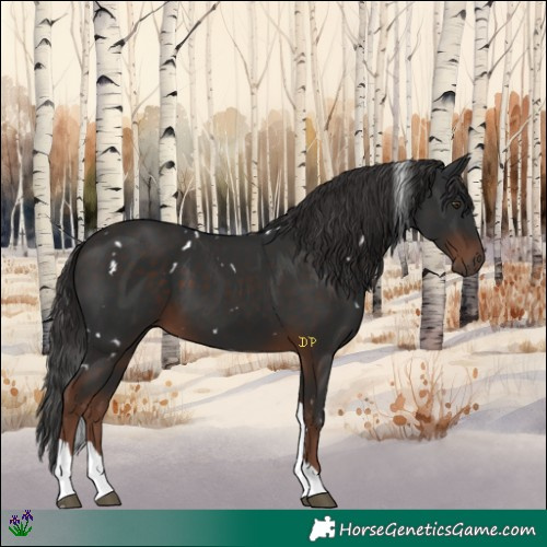 Horse Color:White Spotted Liver Chestnut Tobiano 