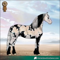 Horse Color:Watercolor White Spotted Silver Classic Champagne Chinchilla Ice Onyx