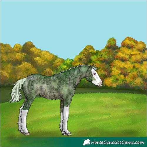Horse Color:Watercolor Silver Brown Chinchilla Ice Dun Splash 