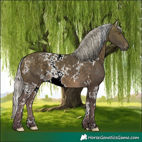 Horse Color:White Spotted Silver Buckskin Rabicano 
