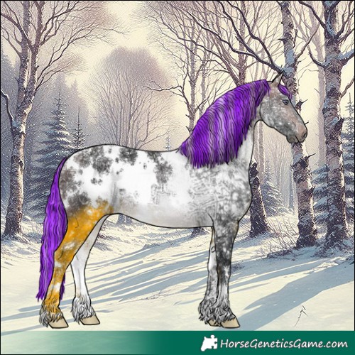 Horse Color:Painted White Spotted Silver Brown Chinchilla Ice Rabicano 